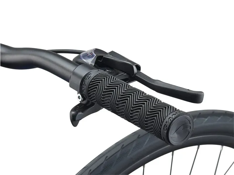 2021 Giant Escape 3 Disc Hybrid Bike in Blue -2